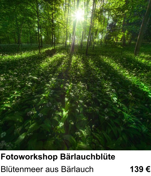 Detailreicher Fotokurs über Fotoworkshop Bärlauchblüte: Blütenmeer aus Bärlauch
