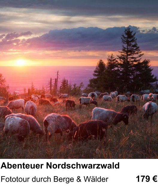 Detailreicher Fotokurs über Abenteuer Nordschwarzwald: Fototour durch Berge & Wälder
