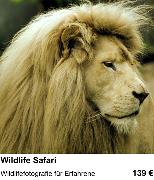 Fotografie praktisch lernen in Freiburg: Wildlife Safari