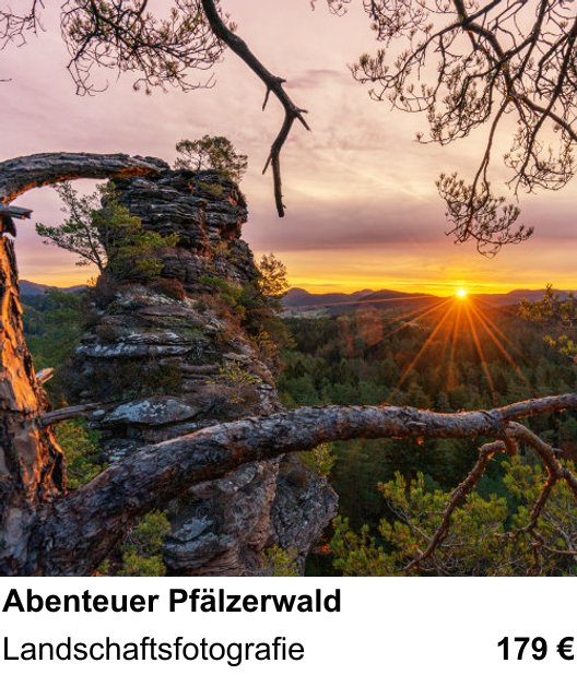 Detailreicher Fotokurs über Abenteuer Pfälzerwald: Landschaftsfotografie