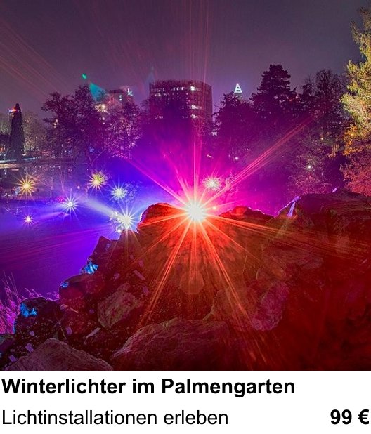 Detailreicher Fotokurs über Winterlichter im Palmengarten: Lichtinstallationen erleben