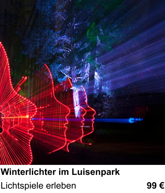 Detailreicher Fotokurs über Winterlichter im Luisenpark: Lichtspiele erleben