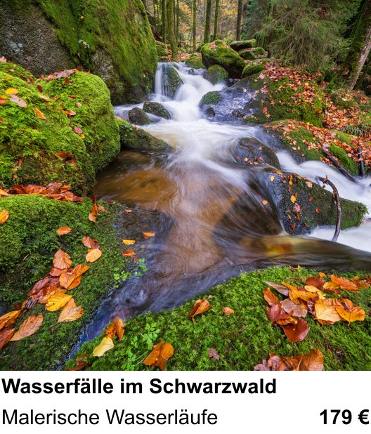 Detailreicher Fotokurs über Wasserfälle im Schwarzwald: Malerische Wasserläufe