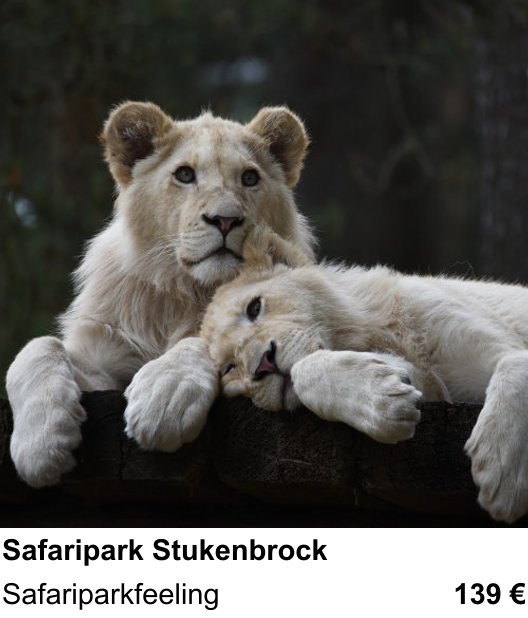 Detailreicher Fotokurs über Safaripark Stukenbrock: Safariparkfeeling